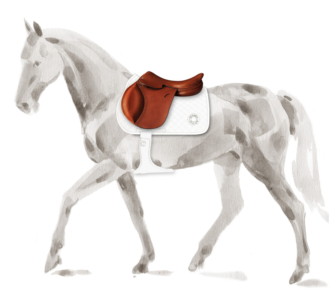 Hermes saddle